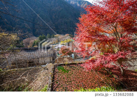 赤沢宿　紅葉　山梨県　早川町 133682088