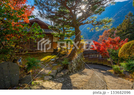 赤沢宿　紅葉　山梨県　早川町 133682096
