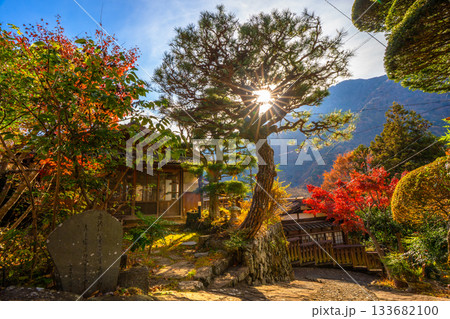 赤沢宿　紅葉　山梨県　早川町 133682100