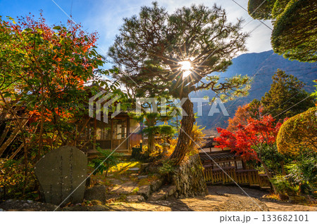 赤沢宿　紅葉　山梨県　早川町 133682101