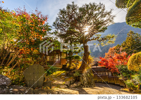 赤沢宿　紅葉　山梨県　早川町 133682105