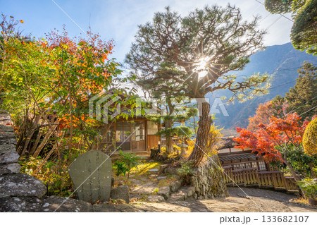 赤沢宿　紅葉　山梨県　早川町 133682107