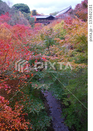 Autumn park / 高台から見下ろすグラデーションカラーの進む紅葉の渓谷の眺め(もみじ谷) 133682181
