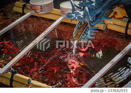 京都、五條天神宮の手水舎と龍 133682635