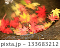 紅葉したもみじの落ち葉 133683212