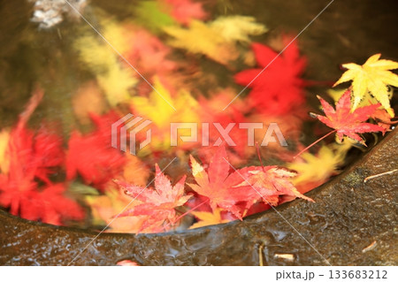 紅葉したもみじの落ち葉 紅葉したもみじの落ち葉 133683212