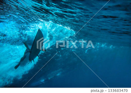 Underwater perspective of surfing through blue depths 133683470