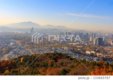 南山公園から見た朝もやに煙る市街地の風景 南山公園から見た朝もやに煙る市街地の風景 133683787