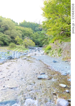 キャンプ場脇を流れる水無川の清流 133683838