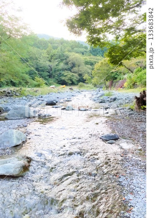 キャンプ場脇を流れる水無川の清流 キャンプ場脇を流れる水無川の清流 133683842