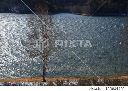 初冬の北海道 強風で波立つ湖面と湖畔林 初冬の北海道 強風で波立つ湖面と湖畔林 133684402