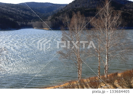 初冬の北海道　強風で波立つ湖面と湖畔林 133684405