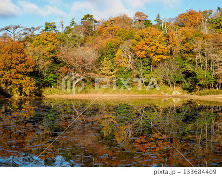 秋の六甲山の横池 水面に紅葉が映る 秋の六甲山の横池 水面に紅葉が映る 133684409