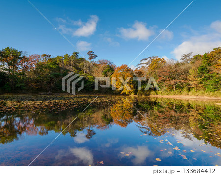 秋の六甲山の横池 水面に紅葉が映る 秋の六甲山の横池 水面に紅葉が映る 133684412