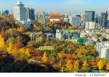 南山ロープーウエイから見た明洞市街の風景 133684425