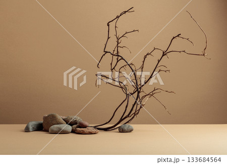 An intricately entwined branches and smooth stones against a beige background. 133684564