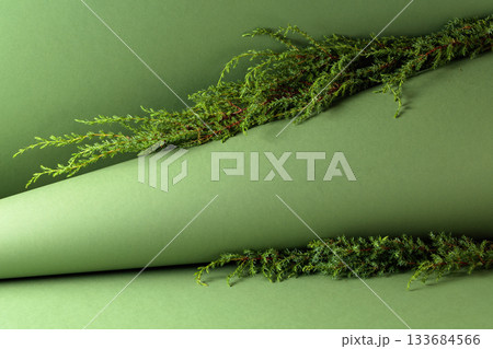 Juniper branches on a green background. 133684566