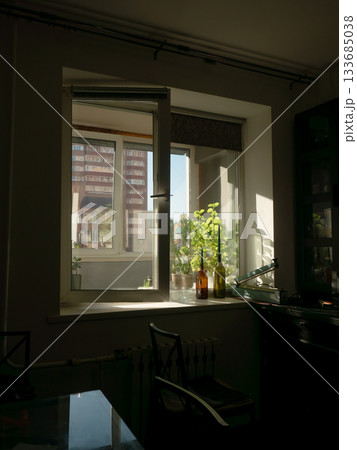 Sunny Window View with Plants and Urban Building Sunny Window View with Plants and Urban Building 133685038