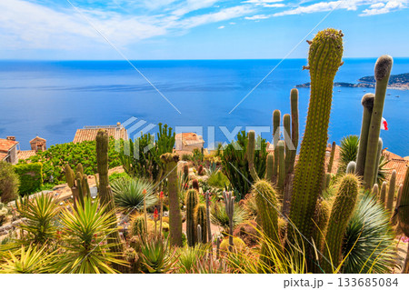 Scenic view of the Mediterranean coastline, medieval houses and exotic garden from the top of the medieval village of Eze village on the French Riviera 133685084