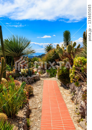 Walkway in exotic botanical garden in Eze village, French Riviera coast, France 133685085