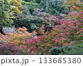 談山神社の紅葉 133685380