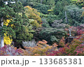 談山神社の紅葉 133685381