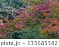 談山神社の紅葉 133685382