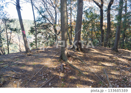 金ヶ嶽の山頂（外秩父） 133685389