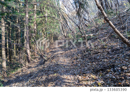 金ヶ嶽から植平峠へ向かう登山道(外秩父) 金ヶ嶽から植平峠へ向かう登山道(外秩父) 133685390