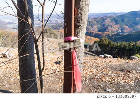 小林山（大平山）の山頂（外秩父） 133685397
