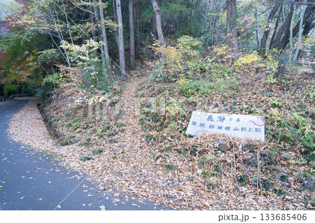 小林山(大平山)の登山口(外秩父) 小林山(大平山)の登山口(外秩父) 133685406