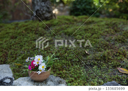 小倉山二尊院　境内の寄せ植え1 133685699