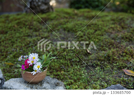 小倉山二尊院 境内の寄せ植え2 小倉山二尊院 境内の寄せ植え2 133685700