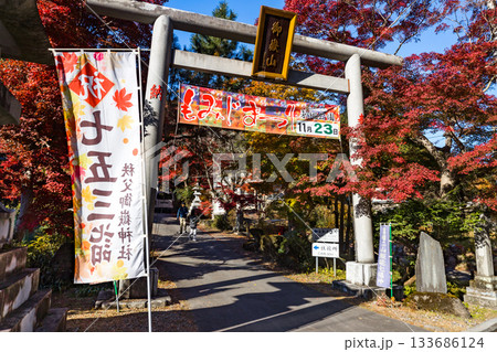 埼玉県飯能市 秋の東郷公園・秩父御嶽神社 埼玉県飯能市 秋の東郷公園・秩父御嶽神社 133686124