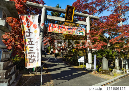 埼玉県飯能市　秋の東郷公園・秩父御嶽神社 133686125