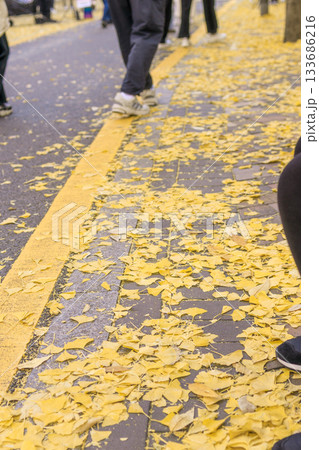 紅葉の時期に大人気の石垣の通り美しい風景 133686216