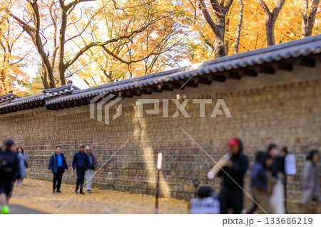 紅葉の時期に大人気の石垣の通り美しい風景 133686219