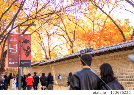 紅葉の時期に大人気の石垣の通り美しい風景 紅葉の時期に大人気の石垣の通り美しい風景 133686220