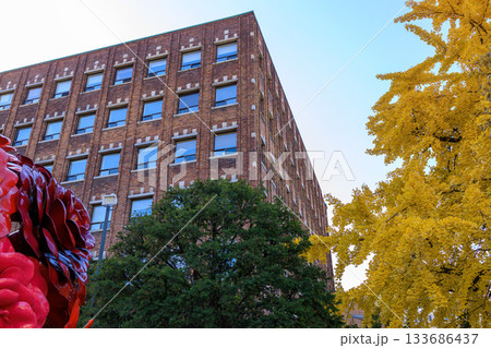 綺麗な秋の風景に囲まれたソウル市庁舎 133686437