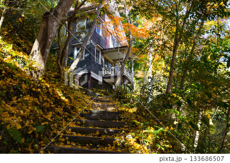 埼玉県飯能市　秋の東郷公園・秩父御嶽神社 133686507