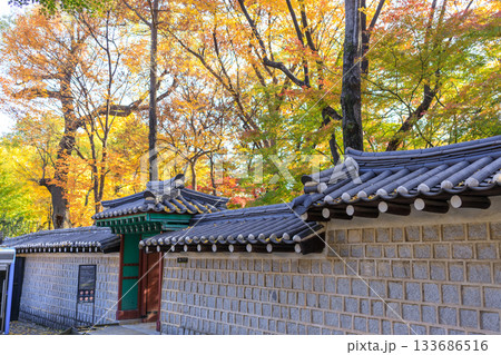 紅葉の時期に大人気の石垣の通り美しい風景 紅葉の時期に大人気の石垣の通り美しい風景 133686516