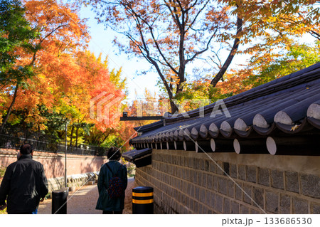 紅葉の時期に大人気の石垣の通り美しい風景 紅葉の時期に大人気の石垣の通り美しい風景 133686530
