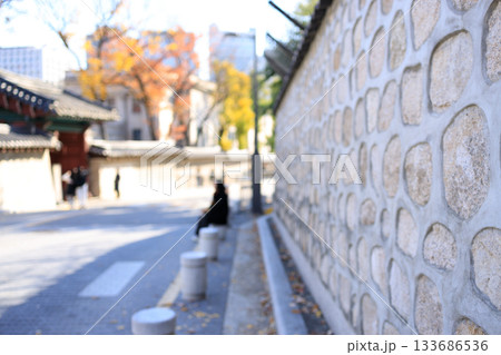 紅葉の時期に大人気の石垣の通り美しい風景 133686536