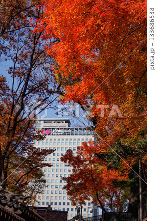 紅葉の時期に大人気の石垣の通り美しい風景 133686538