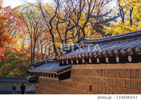 紅葉の時期に大人気の石垣の通り美しい風景 紅葉の時期に大人気の石垣の通り美しい風景 133686541