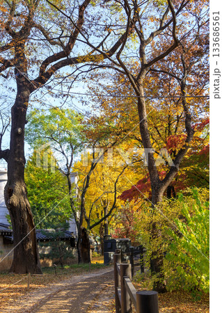 紅葉の時期に大人気の石垣の通り美しい風景 紅葉の時期に大人気の石垣の通り美しい風景 133686561