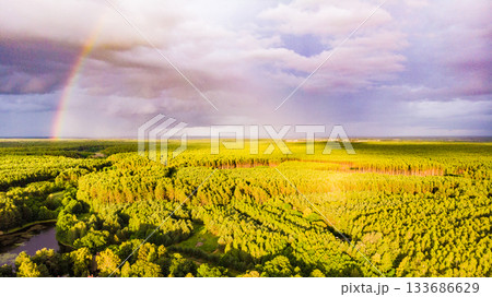 Rainbow over forest area, Poland. Aerial view Rainbow over forest area, Poland. Aerial view 133686629