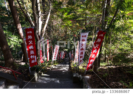 埼玉県飯能市　秋の東郷公園・秩父御嶽神社 133686867
