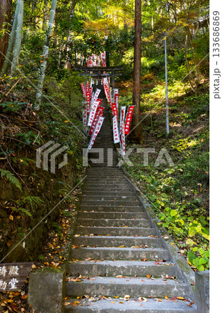 埼玉県飯能市　秋の東郷公園・秩父御嶽神社 133686869