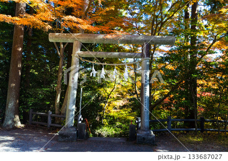 埼玉県飯能市　秋の東郷公園・秩父御嶽神社 133687027